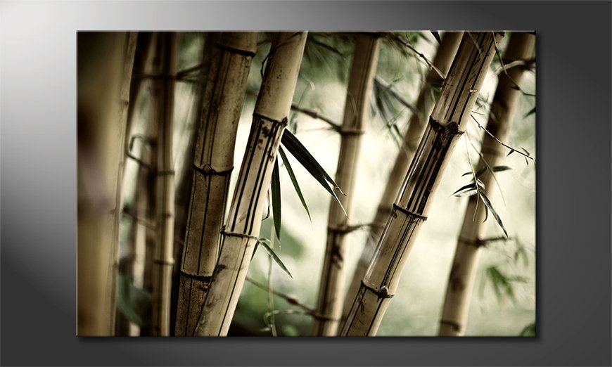 Das-Leinwandbild-Bamboo-Forest