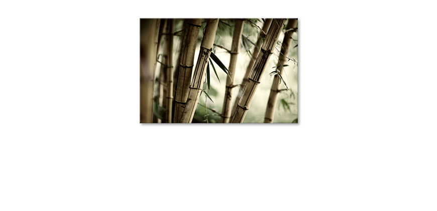 Das-Leinwandbild-Bamboo-Forest