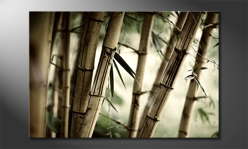 Das-Leinwandbild-Bamboo-Forest-60x40-cm