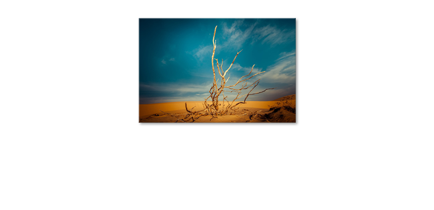 Das-Leinwandbild-Desert-Landscape