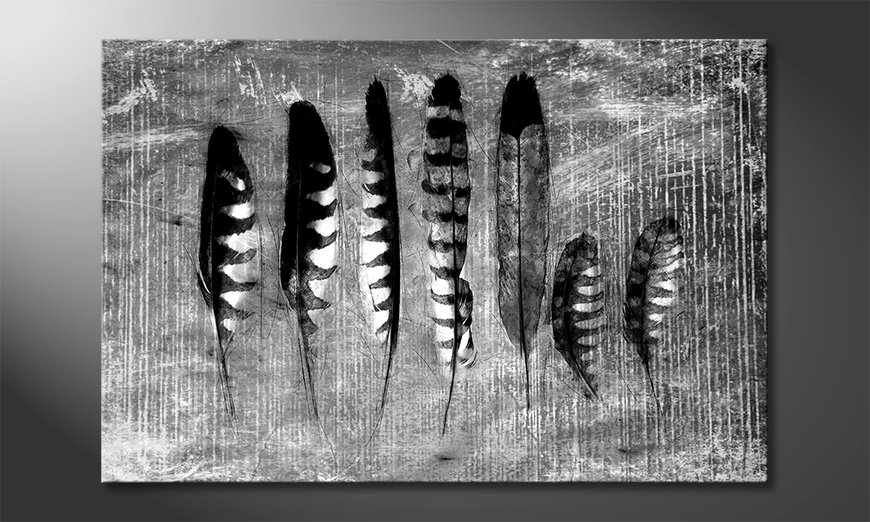 Das-Leinwandbild-Monochrome-Feathers