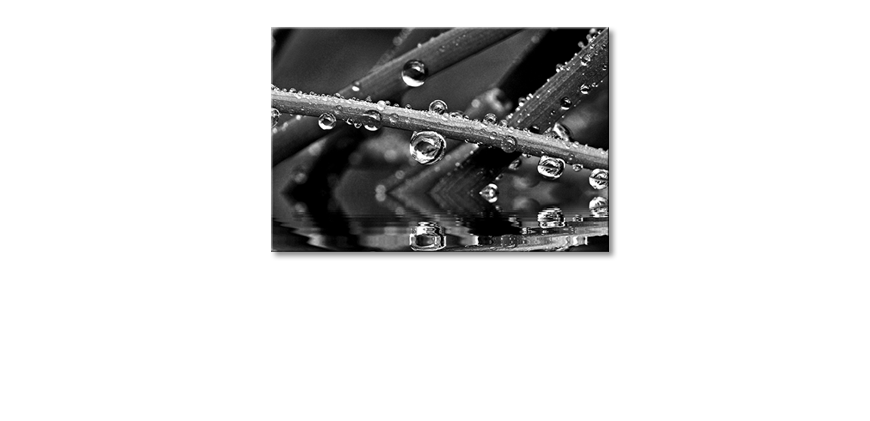 Das-Leinwandbild-Water-Drops