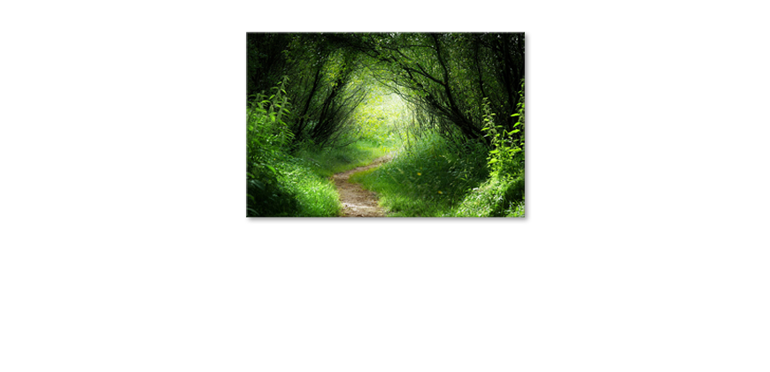 Das-Leinwandbild-Way-into-the-Forest