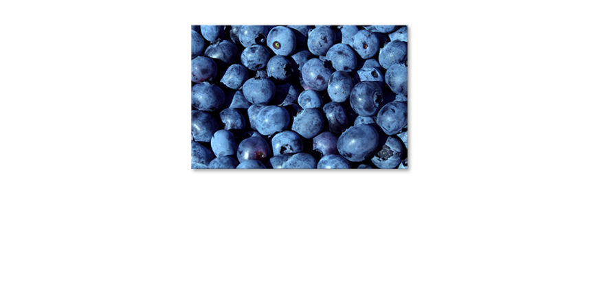 Das-Wandbild-Blueberries
