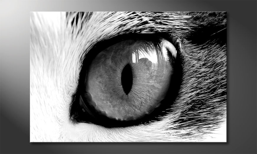 Das Wandbild Cats Eye