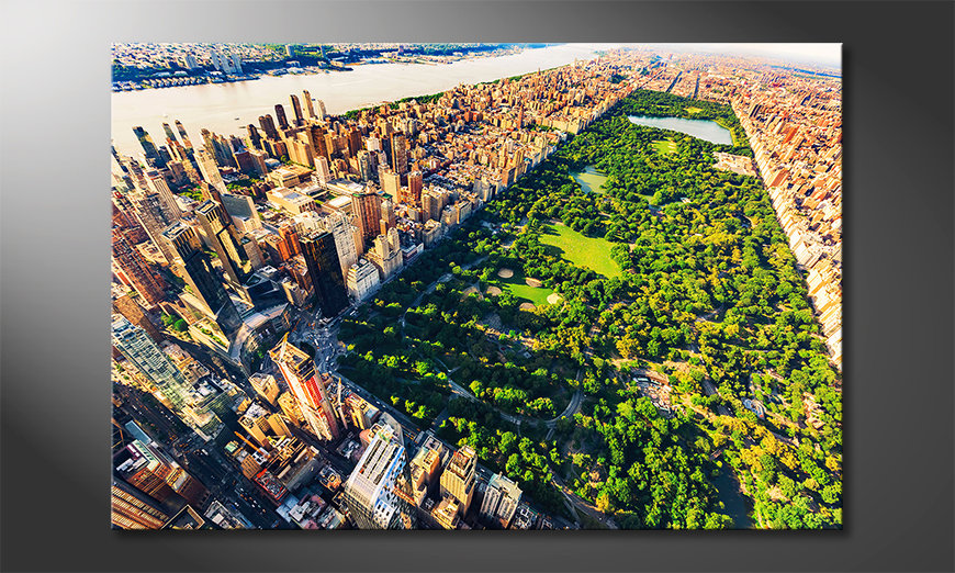 Das exklusive Bild Central Park