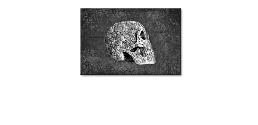 Das-exklusive-Bild-Suger-Skull