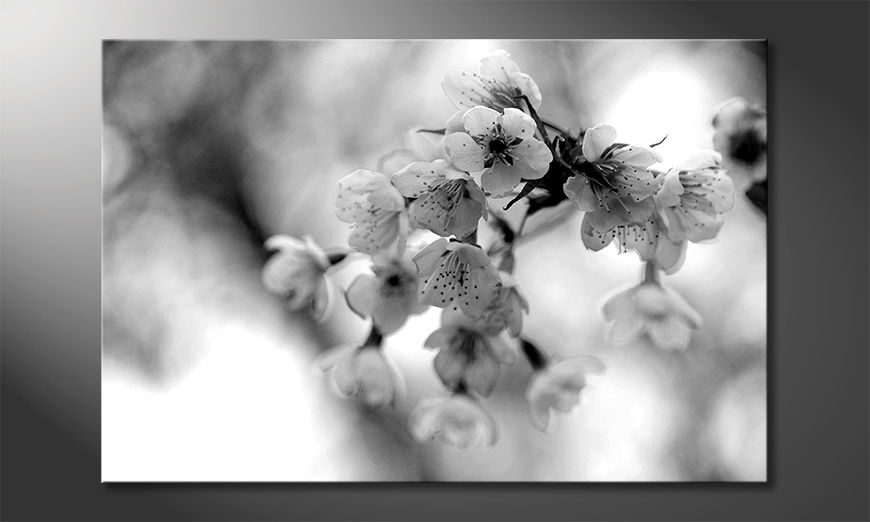 Das gedruckte Bild Cherry Blossoms