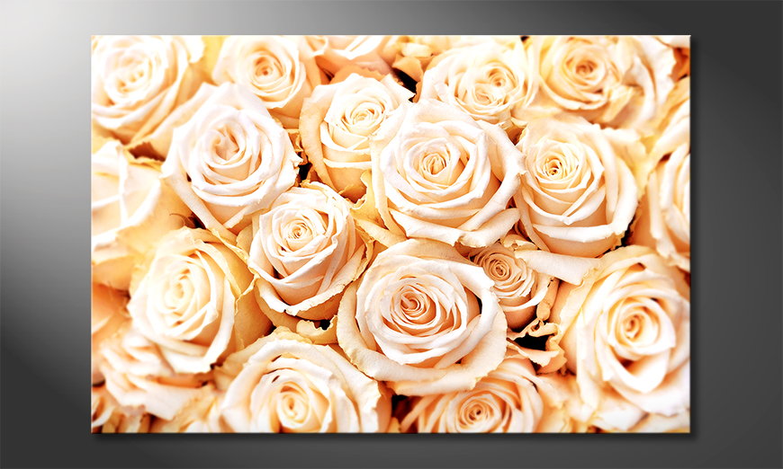 Das-moderne-Bild-Creamy-Roses