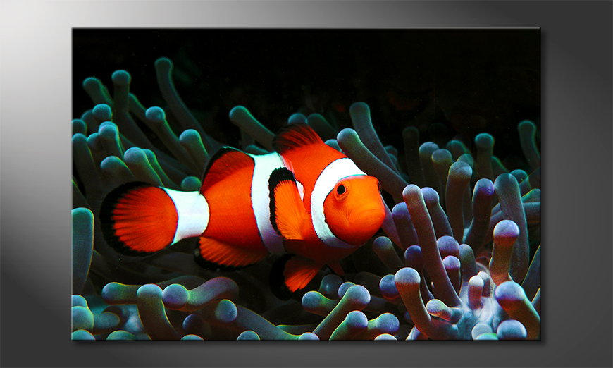Das-moderne-Leinwandbild-Nemo