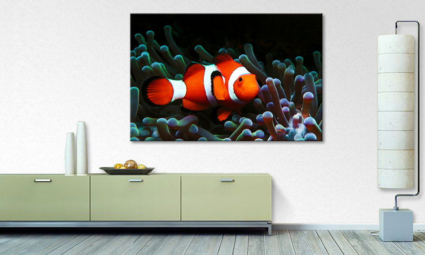 Das moderne Leinwandbild Nemo