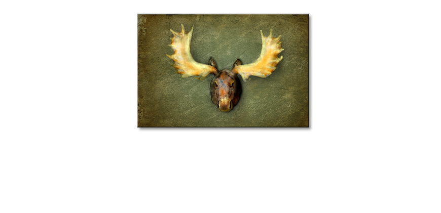 Das-moderne-Wandbild-The-Elk