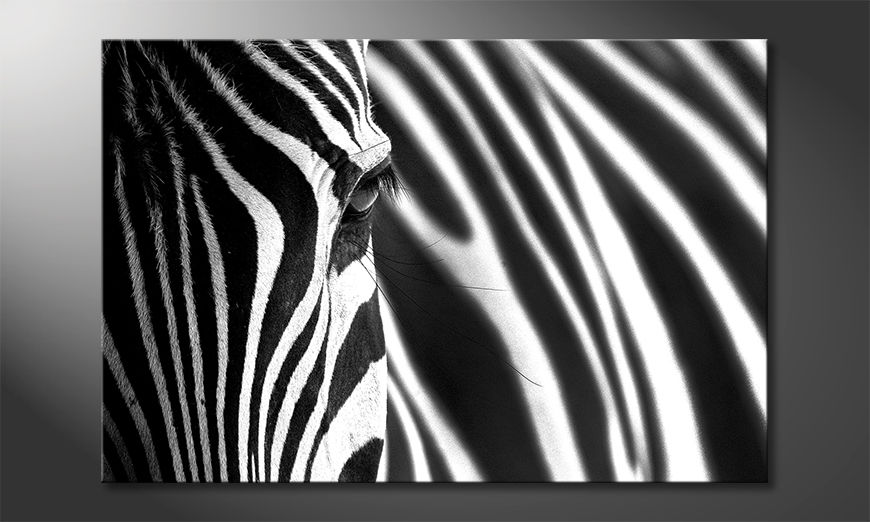 Das-schöne-Bild-Animal-Stripes