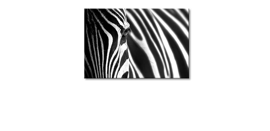 Das-schöne-Bild-Animal-Stripes
