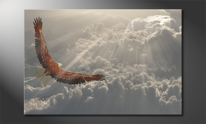 Gedrucktes Leinwandbild Eagle Flight