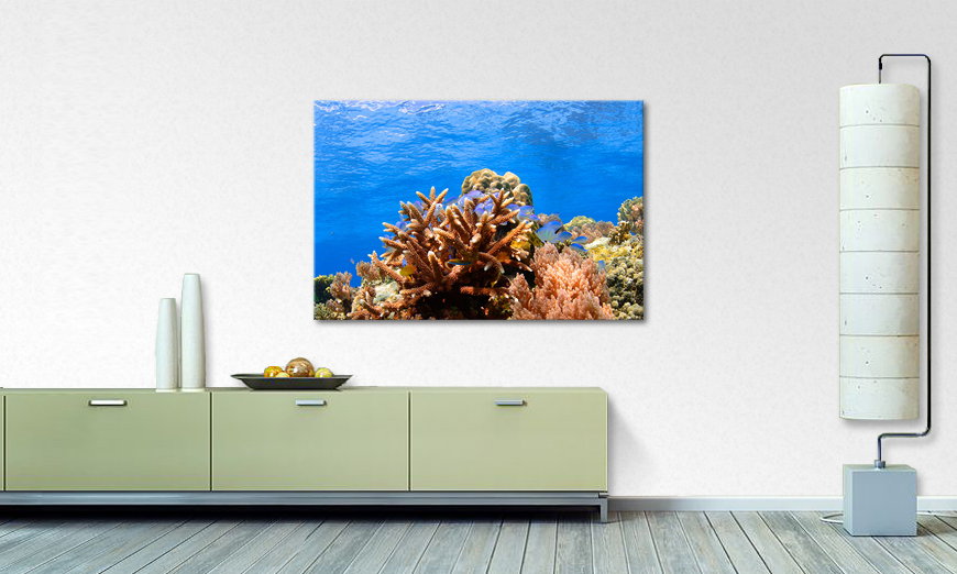 Unser modernes Wandbild Corals Reef