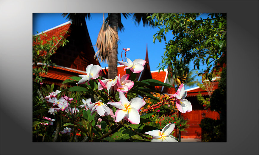 Blumen-als-Poster-Thaiday