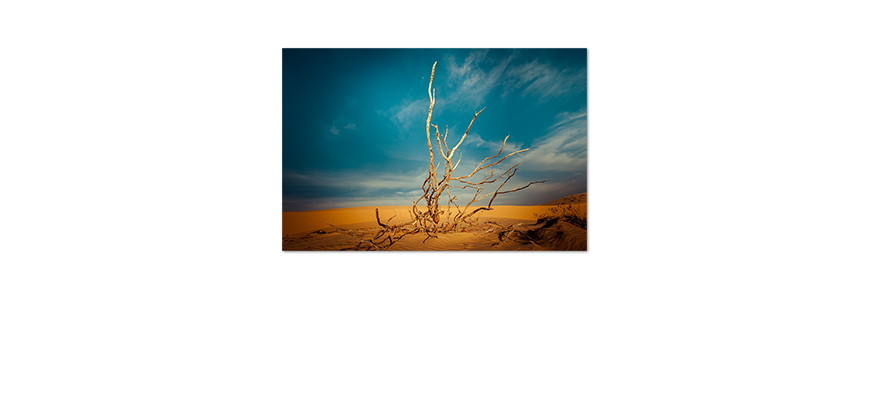Das-Premium-Poster-Desert-Landscape