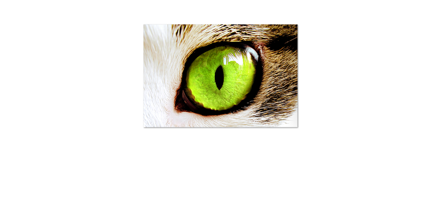 Das-Premium-Poster-Green-Eyes