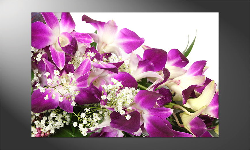 Das-Premium-Poster-Orchid-Blossom