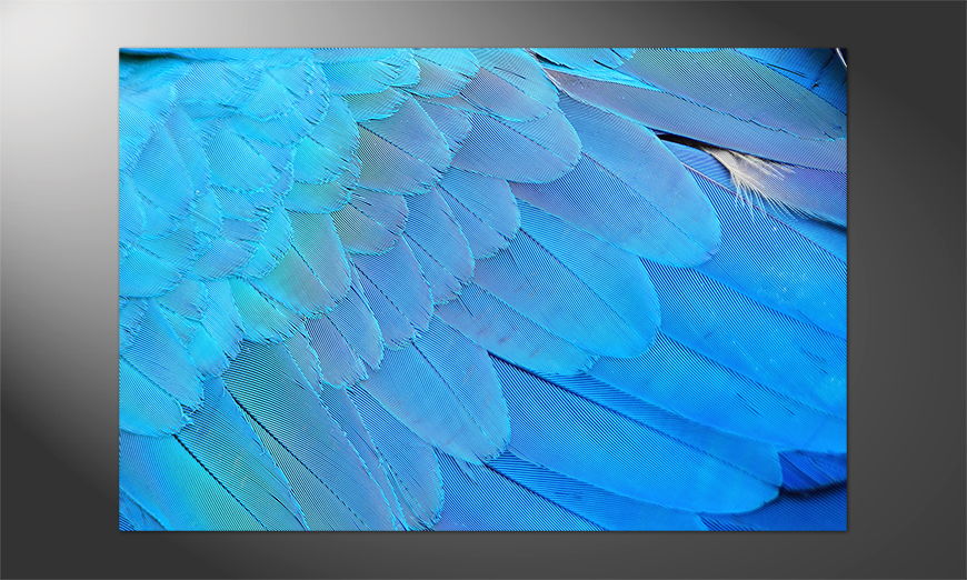 Unser-Premium-Poster-Bird-Feathers