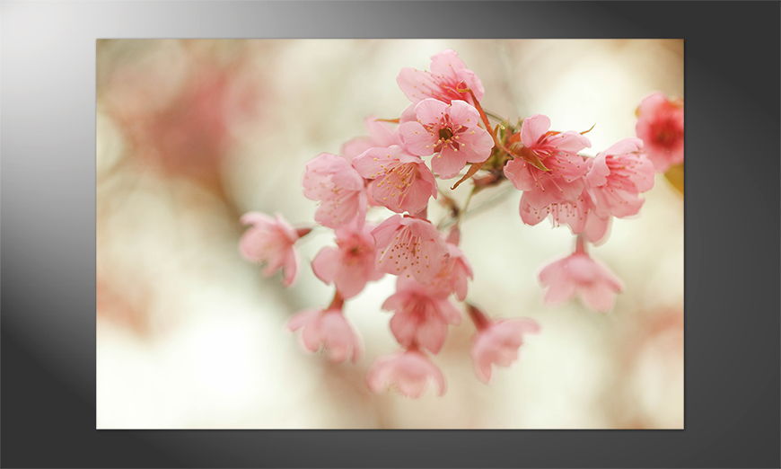 Unser-Premium-Poster-Cherry-Blossoms
