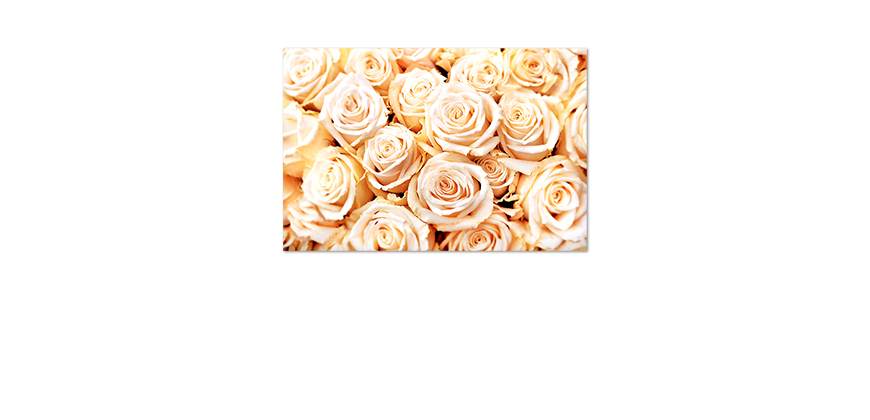 Unser-Premium-Poster-Creamy-Roses