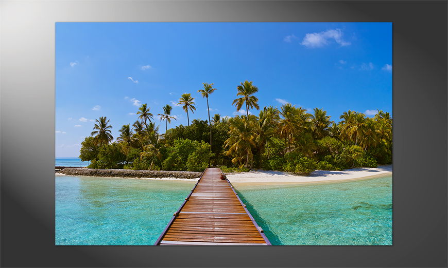 Urlaubsstimmung-Pur-Tropical-Maldives