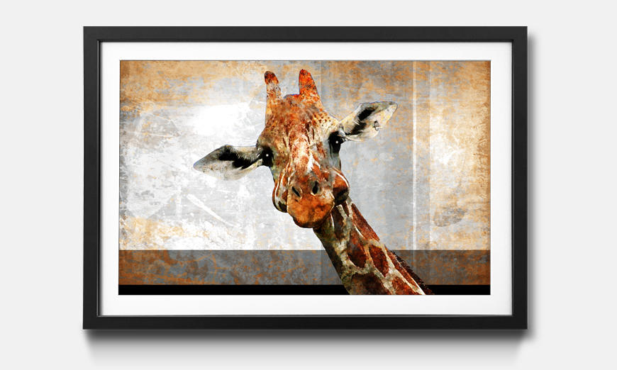 Der gerahmte Kunstdruck Mr Giraffe