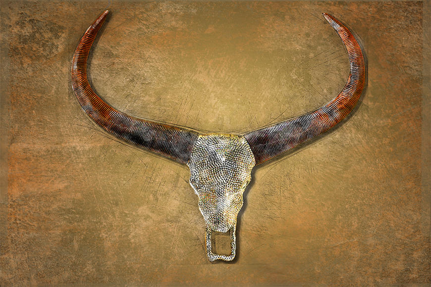 Die Vlies Fototapete Bull Skull