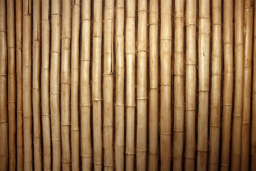 Naturmotiv als Tapete Bambus in S bis XXL