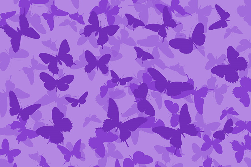 Vlies Tapete Schmetterlinge ab 120x80cm