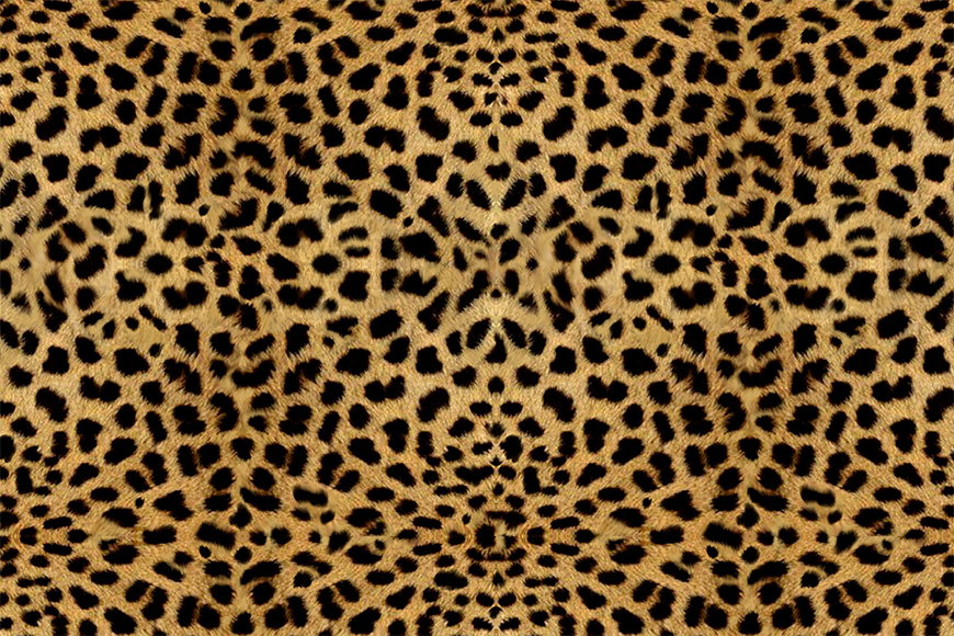 Vliestapete Gepard ab 120x80cm