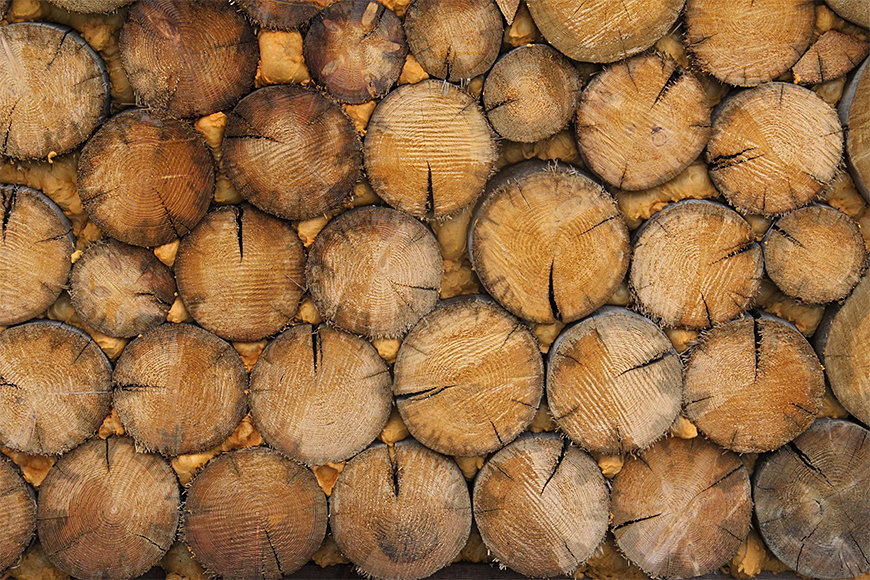 Vliestapete Wood Wall in 6 Größen
